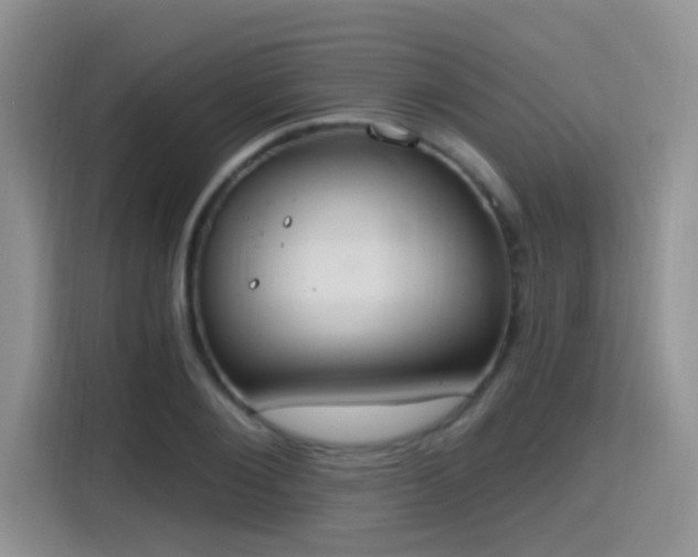 X0000115400884200911101510