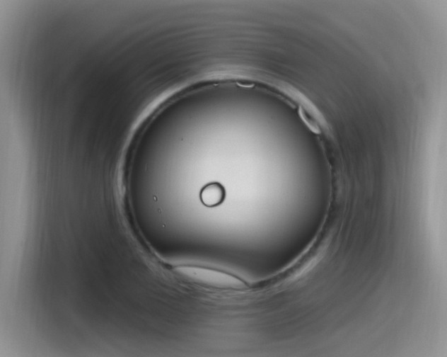 X0000115400885200911101510