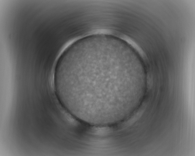X0000115400886200911101510