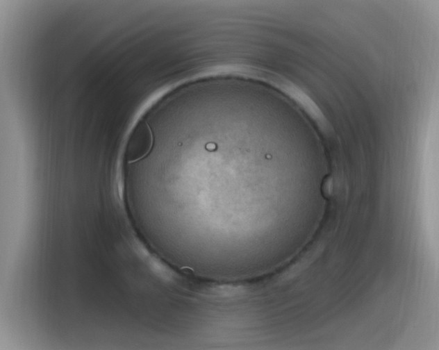 X0000115400888200911101510
