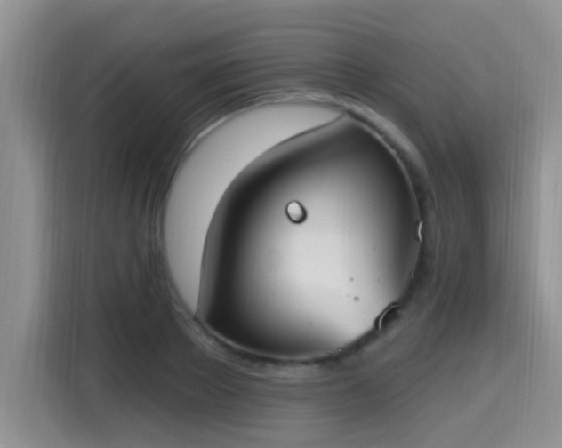 X0000115400889200911101510