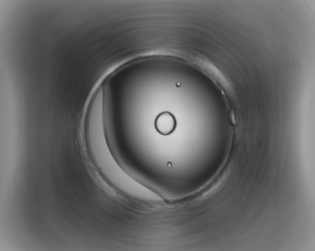 X0000115400892200911101510