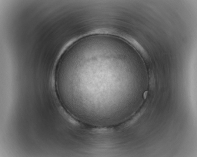 X0000115400896200911101510