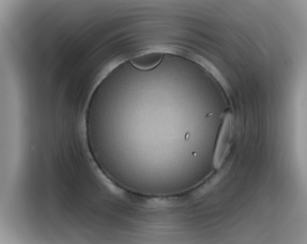 X0000115400898200911101510