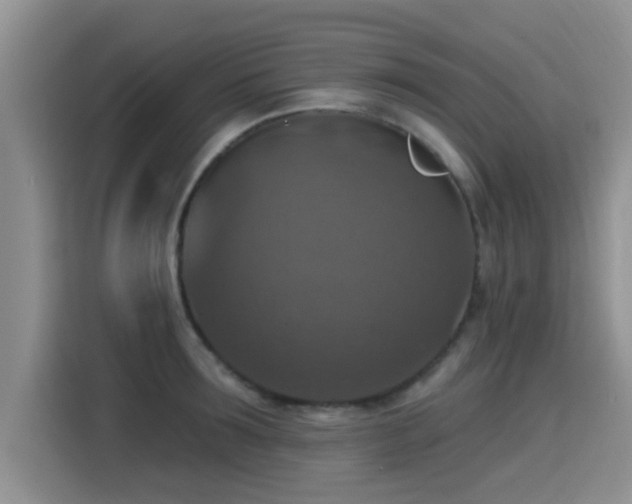 X0000115400899200911101510