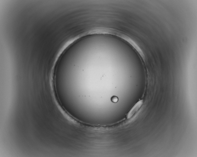 X0000115400901200911101510