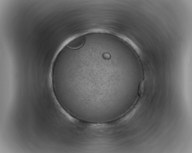 X0000115400902200911101510