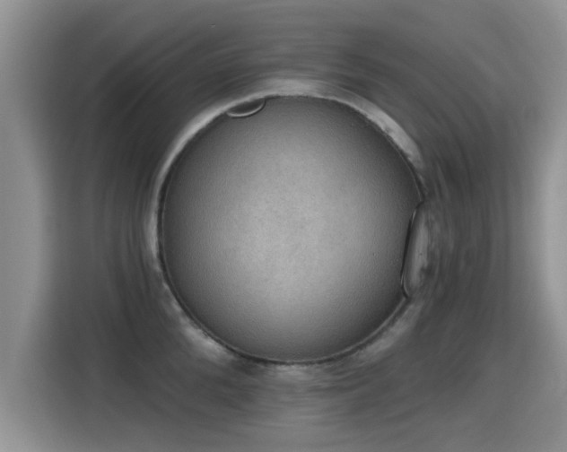 X0000115400904200911101510
