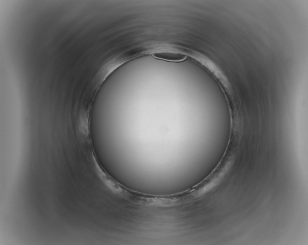 X0000115400905200911101510