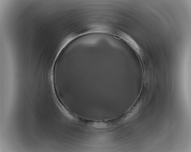X0000115400907200911101510