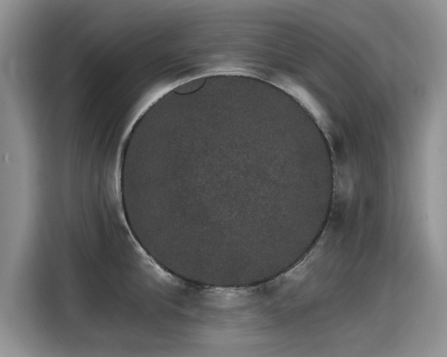 X0000115400910200911101510
