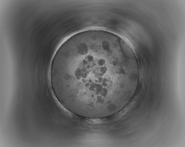 X0000115400911200911101510