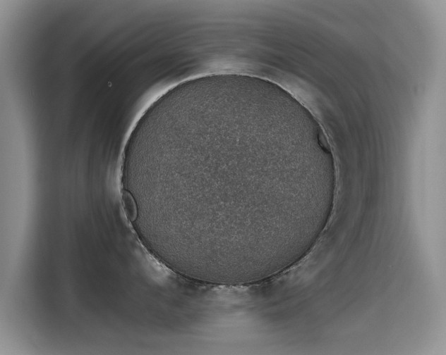 X0000115400912200911101510