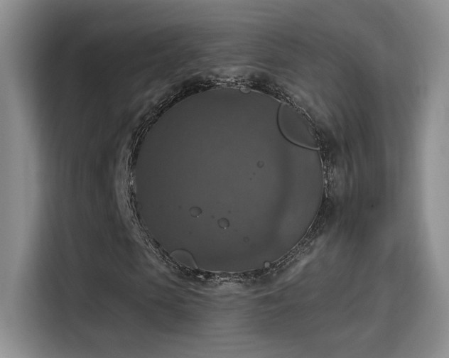 X0000115400913200911101509