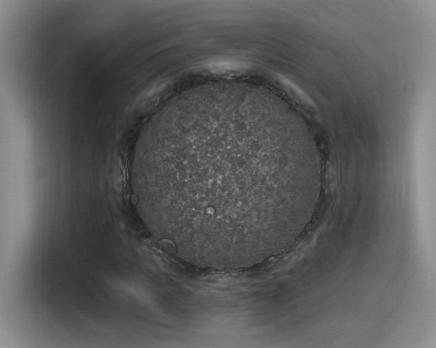 X0000115400917200911101509