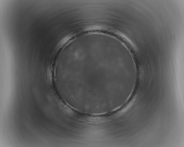 X0000115400921200911101509