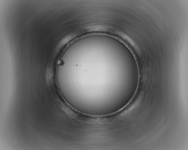 X0000115400922200911101509