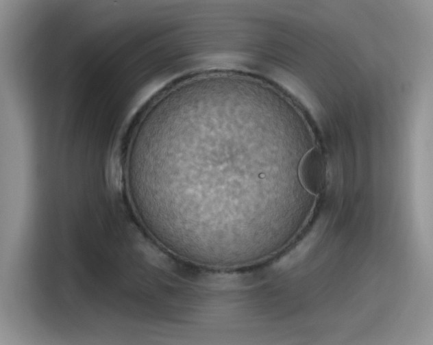 X0000115400925200911101509