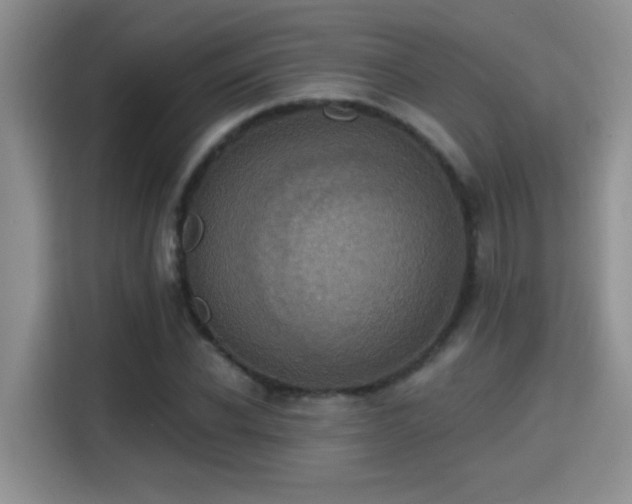 X0000115400926200911101509