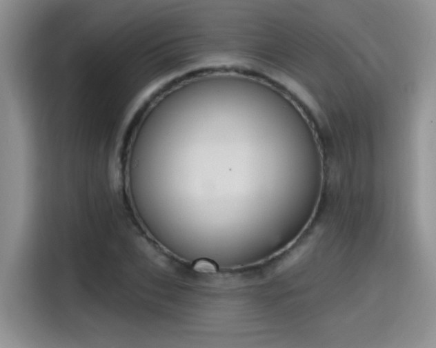 X0000115400927200911101509