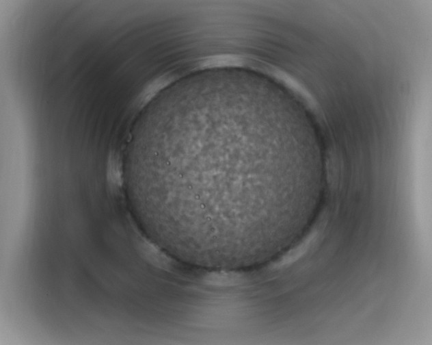 X0000115400929200911101509