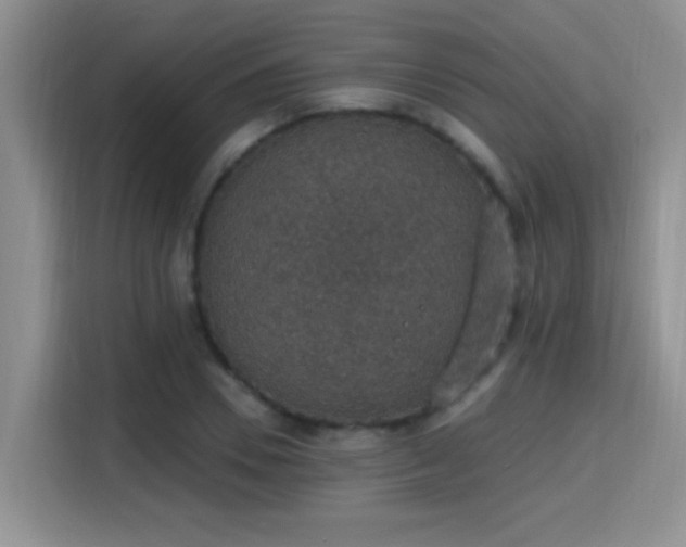 X0000115400930200911101509