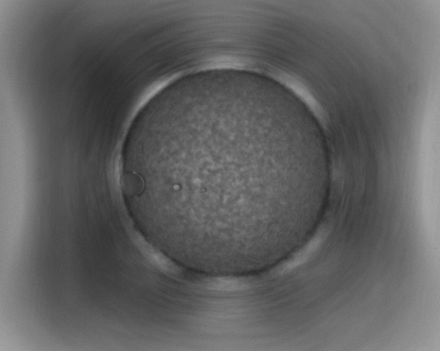 X0000115400933200911101509