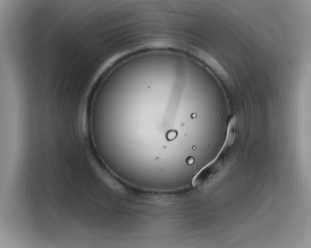 X0000115400934200911101509