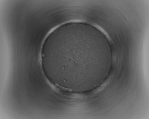 X0000115400935200911101509