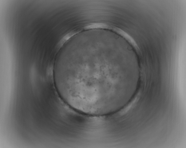 X0000115400937200911101509
