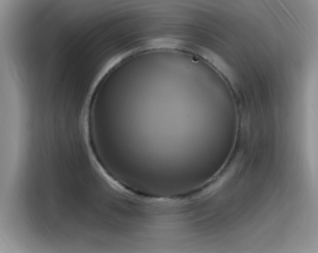 X0000115400941200911101509