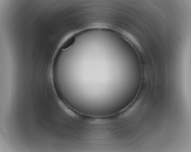X0000115400942200911101509
