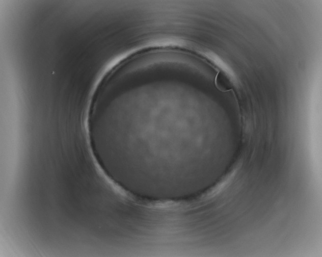 X0000115400943200911101509