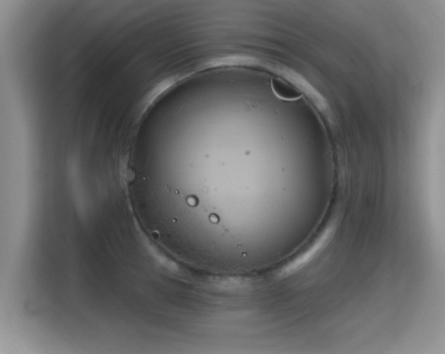 X0000115400945200911101509