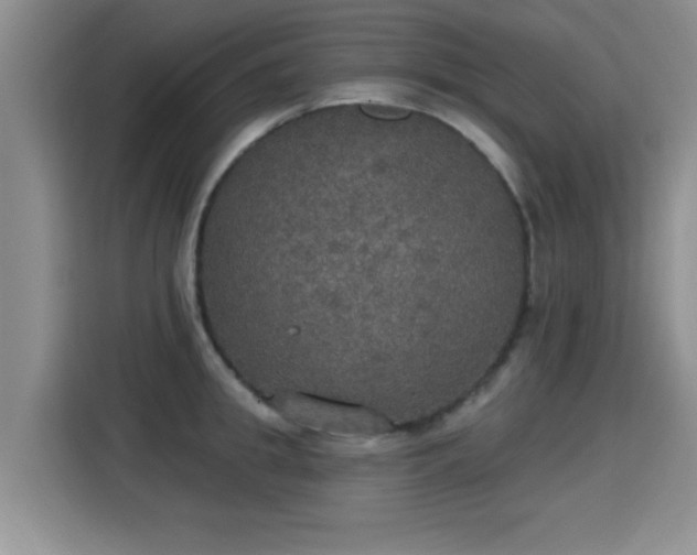 X0000115400949200911101509