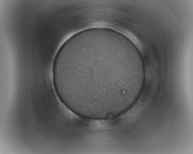X0000115400950200911101509