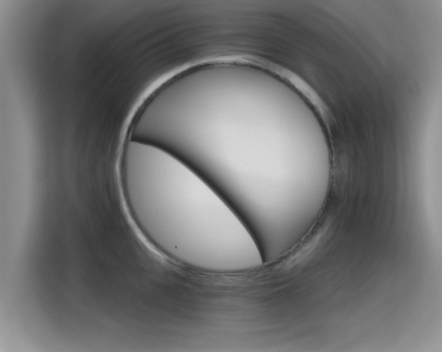 X0000115400951200911101509