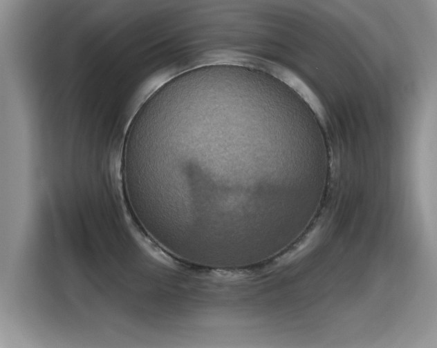X0000115400954200911101509
