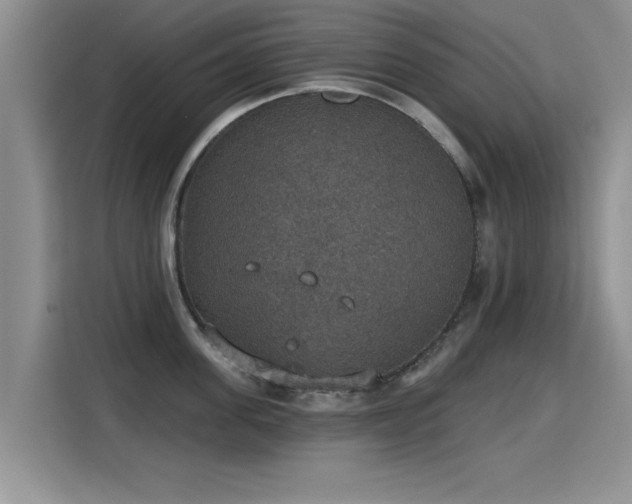 X0000115400955200911101509