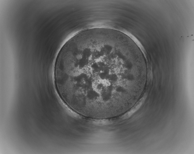 X0000115400957200911101509