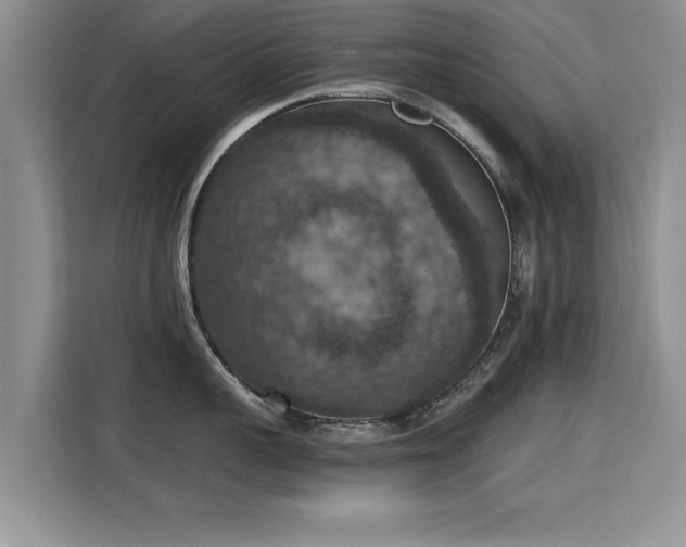 X0000115400959200911101510