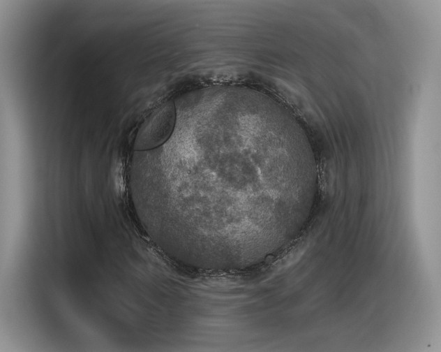 X0000115400962200911101509