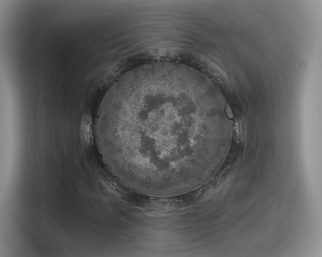 X0000115400963200911101509
