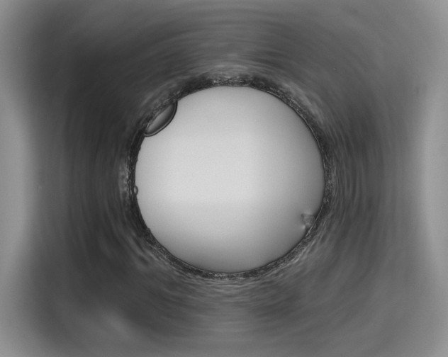 X0000115400964200911101509