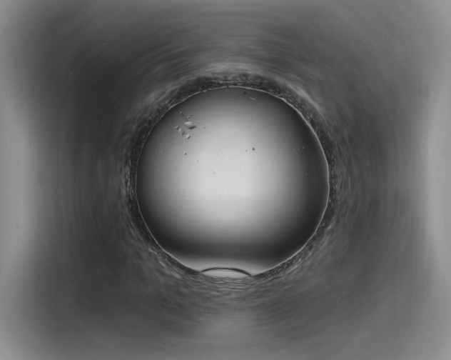 X0000115400965200911101509