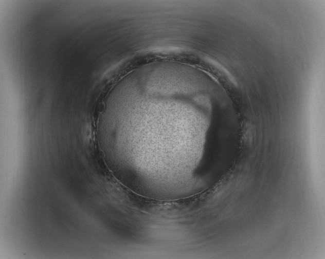 X0000115400966200911101509