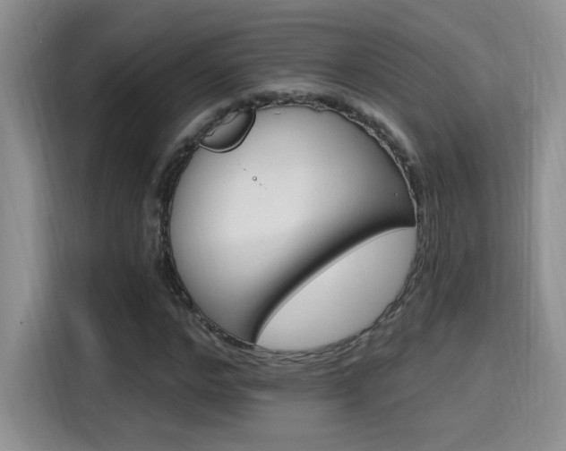 X0000115400968200911101509