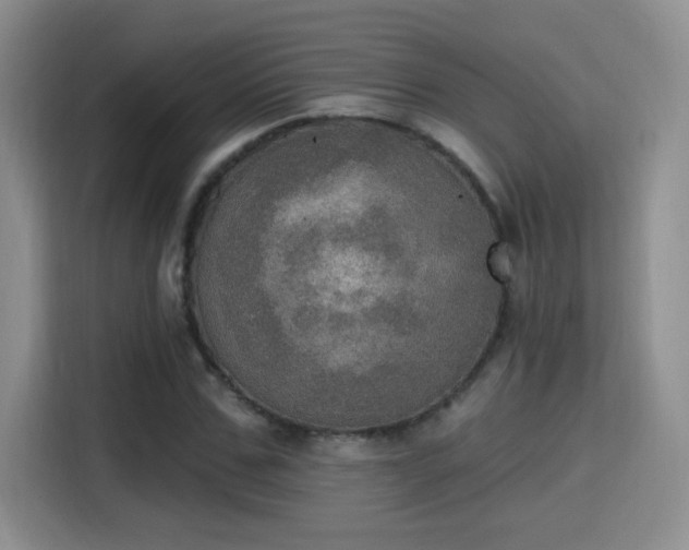 X0000115400971200911101509