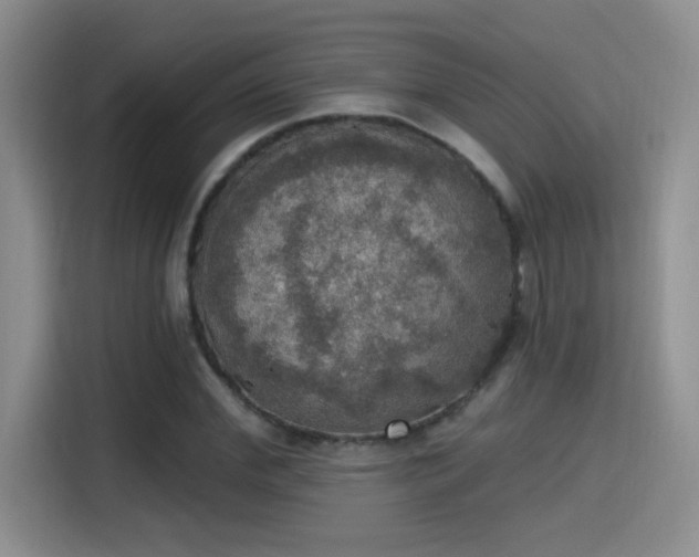 X0000115400972200911101509