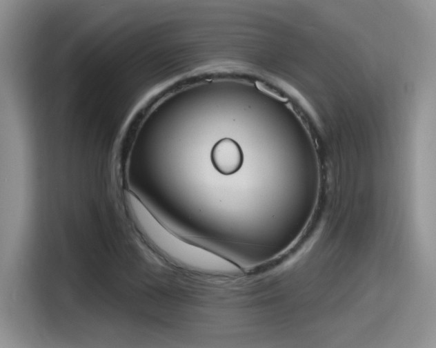 X0000115400973200911101509